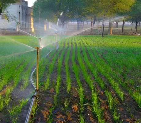 Homepageirrigation