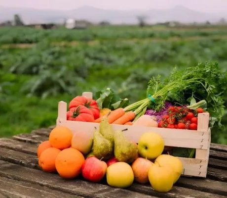 Homepageorganicfarming
