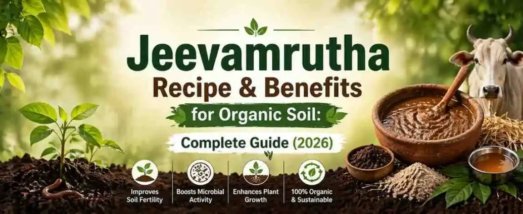 JeevamruthaRecipeBenefitsforOrganicSoilCompleteGuide2026